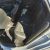 2016 Chevrolet Malibu, Chevrolet, Malibu, Lawrenceburg, Tennessee
